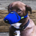 K9 Mask® Air Filter Mask for Dogs // Medium