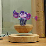 AIRSAI // Floating Bonsai Plant // Style 1