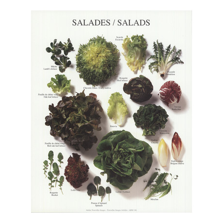 Salads // 1997 Offset Lithograph