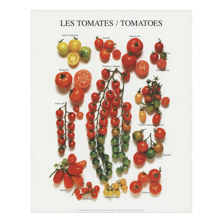 Tomatoes // 1997 Offset Lithograph