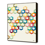 Colorful Honeycomb (16"W x 20"H x 1.5"D)