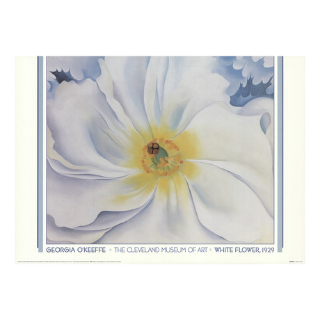 Georgia O'Keeffe // White Flower, 1929 // 1988 Offset Lithograph