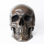 Human Skull // Darkened Bronze