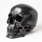 Human Skull // Blackened Steel