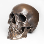 Human Skull // Darkened Bronze