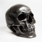 Human Skull // Gunmetal Steel