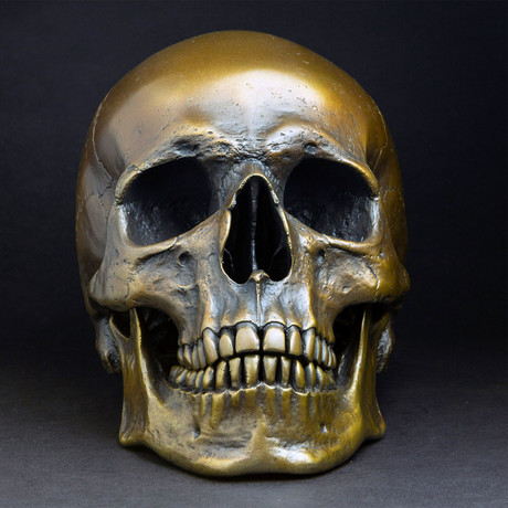 Human Skull // Antique Bronze
