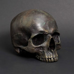 Skull Maxilla // Ancient Bronze