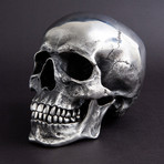 Human Skull // Polished Steel
