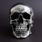 Human Skull // Polished Steel