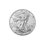 2020 1 oz American Silver Eagle // Icons of American Coinage Series // Deluxe Display Box