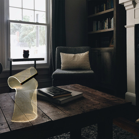 Irregular Acrylic Lamp // Table Lamp