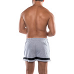 American Jock // Equipo Bench Short // Gray (M)