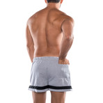 American Jock // Equipo Bench Short // Gray (M)