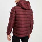 Everest Puff Jacket // Bordeaux (S)