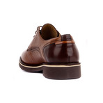 Fosco // Sean Classic Shoes // Tobacco (Euro: 41)