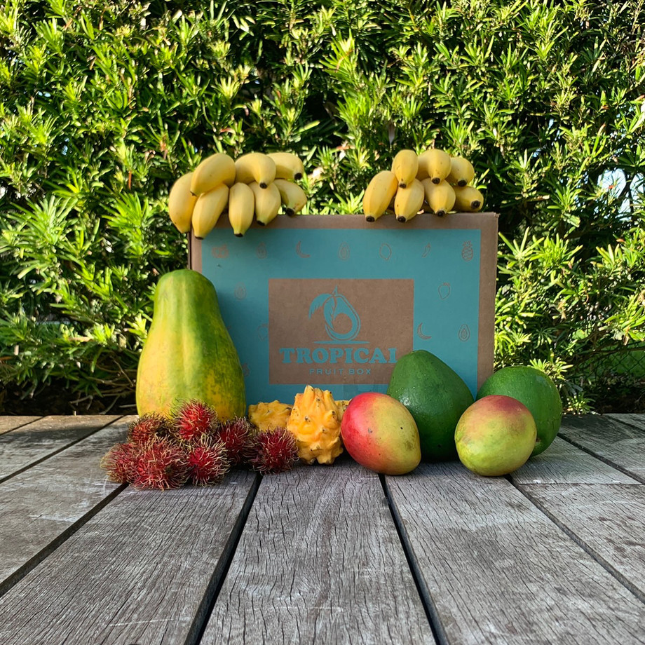 Tropical Fruit Box Fresh Tropical Fruit Touch of Modern