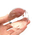 Crystal Clear Ice Mold Set