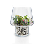 Succulent Glass Vase (Small)