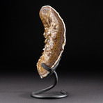 Polished Citrine Crystal Cluster + Custom Metal Stand V4