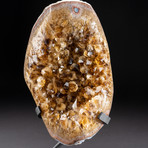 Polished Citrine Crystal Cluster + Custom Metal Stand V4