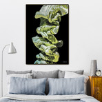 Wunderlich (16"W x 20"H x 1.5"D)