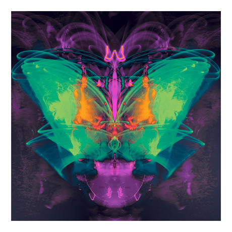 Satan's Butterfly (16"W x 16"H x 0.625"D)