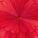 Dahlia Double Cloth Umbrella // Red