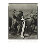 Richard Avedon // Dovima with Elephant // 1968 Offset Lithograph