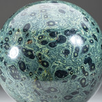 Polished Museum Quality Kambaba Jasper Sphere + Acrylic Display Stand // 23.6 lb Sphere