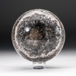 Polished Banded Chevron Onyx Sphere + Acrylic Display Stand