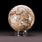 Polished Orbicular Jasper Sphere + Acrylic Display Stand