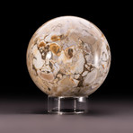 Polished Orbicular Jasper Sphere + Acrylic Display Stand