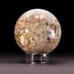 Polished Orbicular Jasper Sphere + Acrylic Display Stand