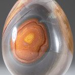 Polished Polychrome Jasper Egg + Acrylic Display Stand