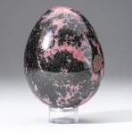 Polished Rhodonite Egg + Acrylic Display Stand