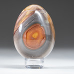 Polished Polychrome Jasper Egg + Acrylic Display Stand