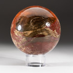 Polished Petrified Wood Sphere + Acrylic Display Stand V2