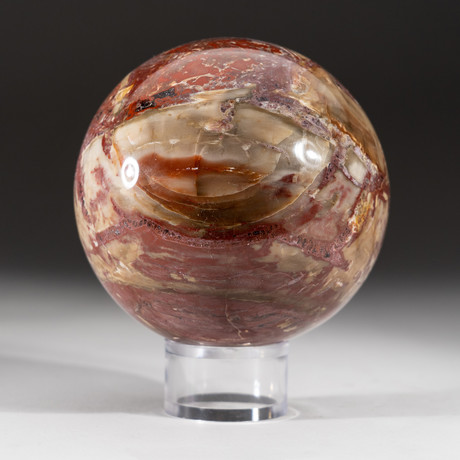 Polished Petrified Wood Sphere + Acrylic Display Stand V2