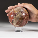 Polished Petrified Wood Sphere + Acrylic Display Stand V2