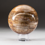 Polished Petrified Wood Sphere + Acrylic Display Stand V4