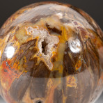 Polished Petrified Wood Sphere + Acrylic Display Stand V3