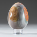 Polished Polychrome Jasper Egg + Acrylic Display Stand