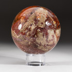 Polished Petrified Wood Sphere + Acrylic Display Stand V2