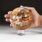 Polished Petrified Wood Sphere + Acrylic Display Stand V4