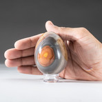 Polished Polychrome Jasper Egg + Acrylic Display Stand