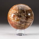 Polished Petrified Wood Sphere + Acrylic Display Stand V4