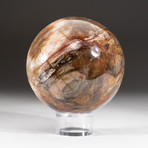 Polished Petrified Wood Sphere + Acrylic Display Stand V3