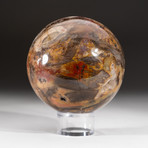 Polished Petrified Wood Sphere + Acrylic Display Stand V3