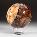 Polished Petrified Wood Sphere + Acrylic Display Stand V1